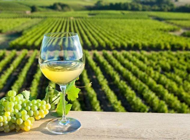 La Haie-FouassiereDependance Chaleureuse Dans Le Vignoble Nantais别墅 外观 照片