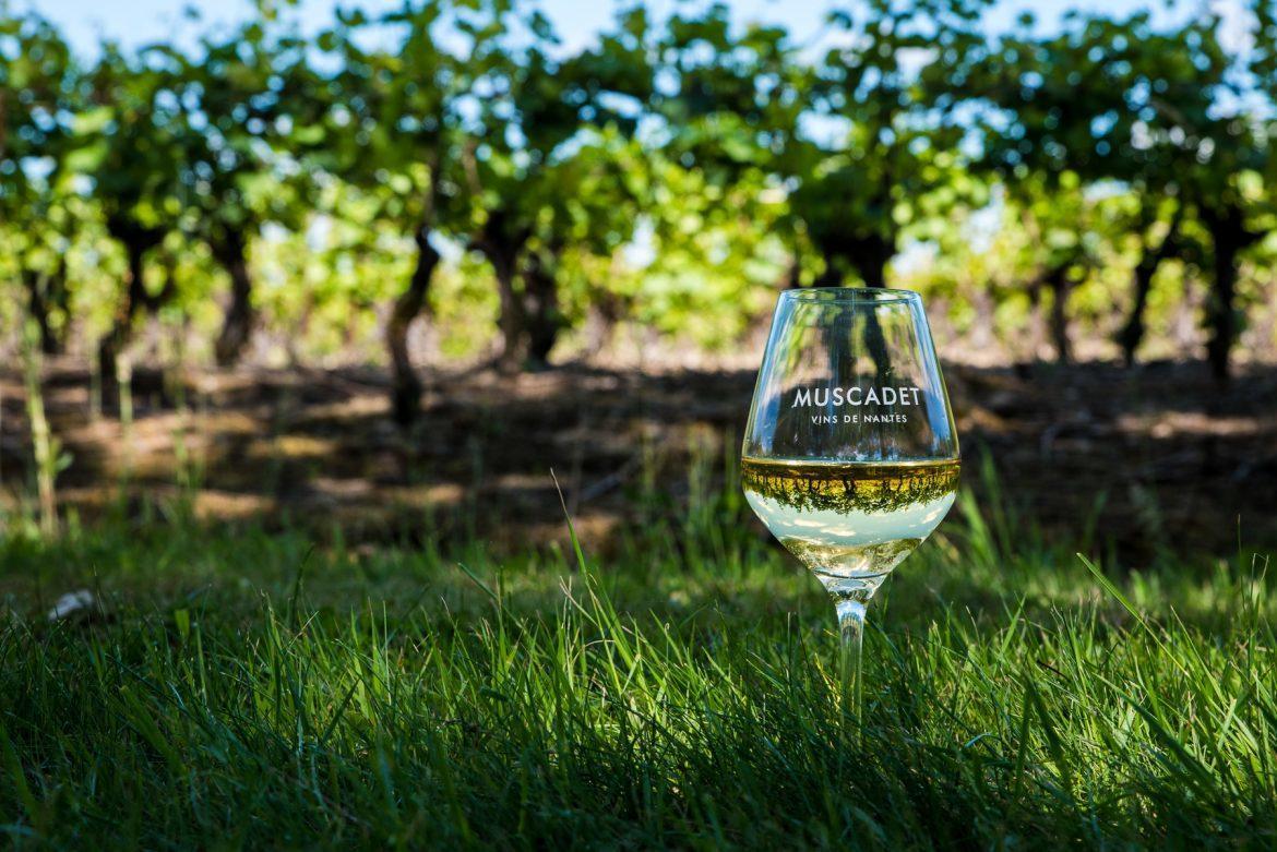 La Haie-FouassiereDependance Chaleureuse Dans Le Vignoble Nantais别墅 外观 照片